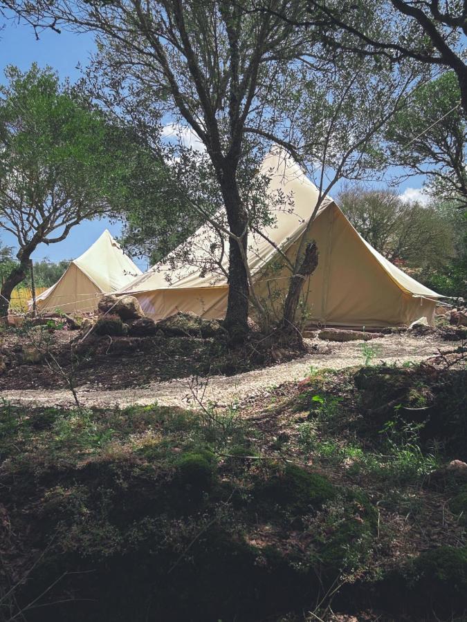Pasare Glamping_Anglonaruralexperience Hotel Perfugas Eksteriør billede