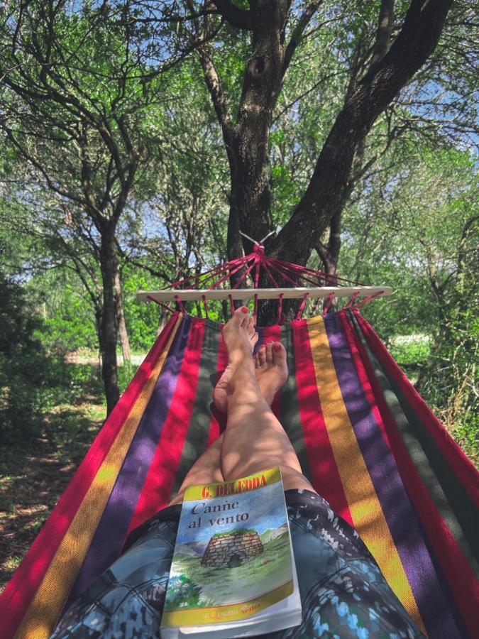 Pasare Glamping_Anglonaruralexperience Hotel Perfugas Eksteriør billede