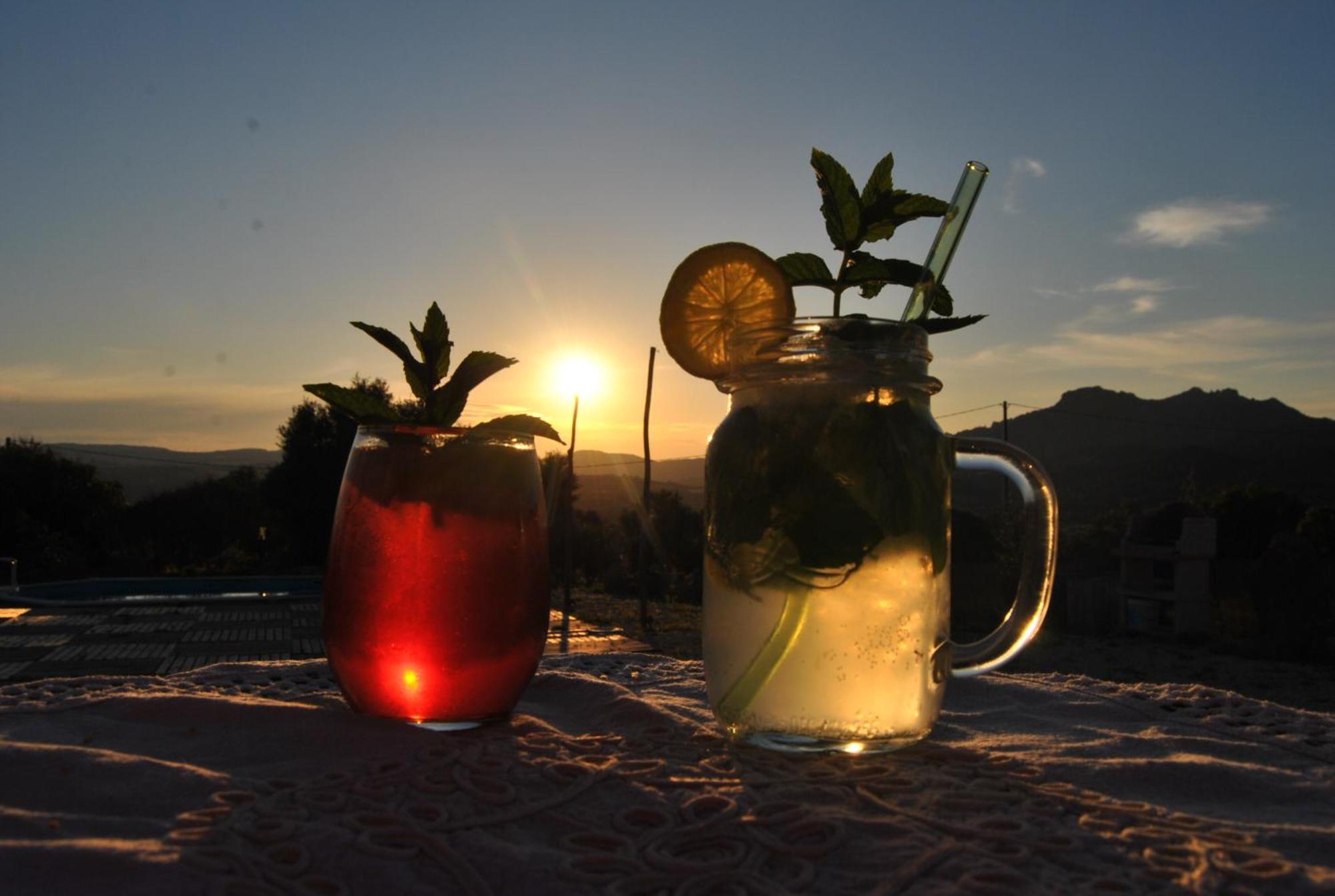 Pasare Glamping_Anglonaruralexperience Hotel Perfugas Eksteriør billede