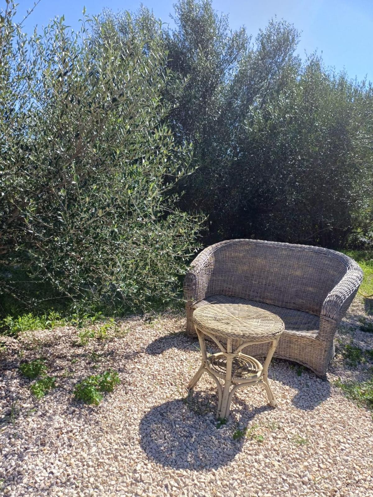 Pasare Glamping_Anglonaruralexperience Hotel Perfugas Eksteriør billede